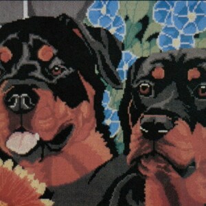 Two Rottweiler Dogs Cross Stitch Chart