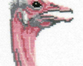 Ostrich counted cross-stitch chart