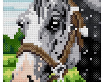 Appaloosa Horse counted cross-stitch chart