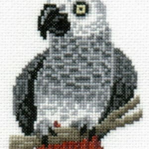 Puede incluir: Un loro gris y negro con una pata roja posado en una rama. El loro tiene un ojo amarillo y un cuerpo gris y blanco.