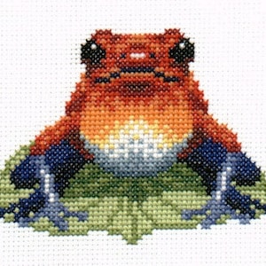 Red & Blue Poison Arrow Frog cross stitch chart PDF