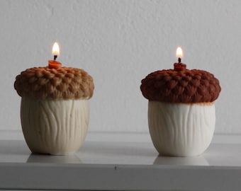 ACORN - Eikelkaars