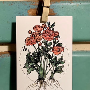 Ranunculus 5"x 7" Carta con busta