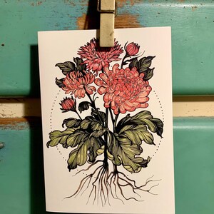Chrysanthemum 5"x 7" carta con busta
