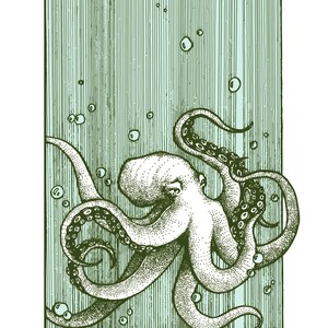 Octopus Print 11&quot; x 17&quot;