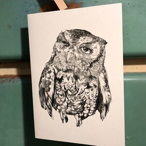 Screech Owl 5 " x 7" Kaart met envelop, titel : "Harige Oogbol"