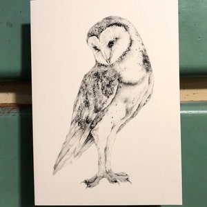 Barn Owl 5" x 7" Carta con busta
