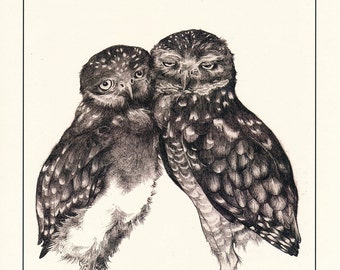 Burrowing Owls 8" x 10" Print, Title: Cheek to Cheek