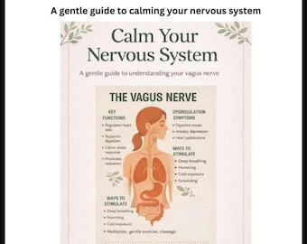 Vagus Nerve Guide Poster | Calm Nervous System, Anxiety Relief (Digital Download)