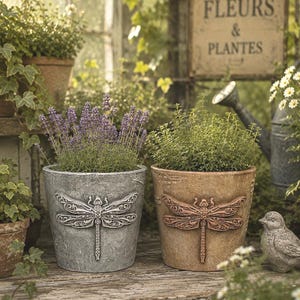 May include: Two cylindrical plant pots featuring embossed dragonfly designs. One pot is finished in a weathered gray tone, while the other has a warm, rustic brown finish. Both pots have a textured surface and contain green plants.