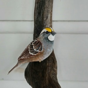 Handsculpted white throated sparrow wall mount