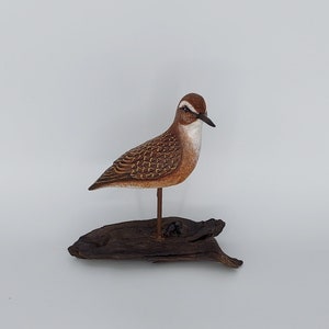 Shorebird hand sculpted Least Sandpiper on found wood table mount