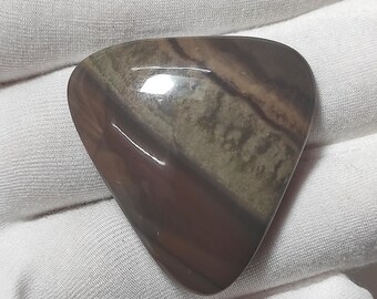 Puede incluir: Una gema triangular pulida con bandas marrones, grises y beige. La piedra tiene una superficie lisa y brillante y una forma redondeada, ideal para joyería o coleccionismo.