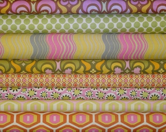 Amy Butler Fabric, Midwest Modern Collection, Full Yard Bundle, 8 Yards Total