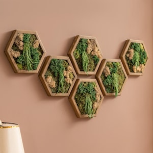 Tropical Jungle Moss Wall Art | Handmade Preserved Reindeer Moss Decor | Natural Wood Frame | Zero Maintenance Plant Wall Hanging