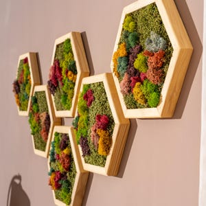 Hexagon Moss Wall Art: Preserved Reindeer Moss & Natural Wood Frame