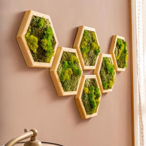 Preserved Reindeer Moss Wall Art: Handmade Natural Wood Frame