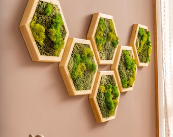 Preserved Reindeer Moss Wall Art: Handmade Natural Wood Frame