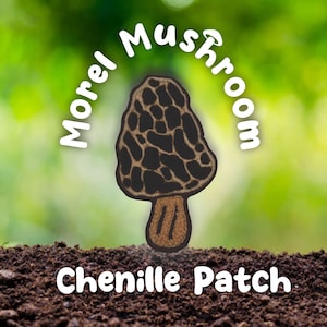 May include: A brown and black morel mushroom illustration with the text "Morel Mushroom" in a white circle around it and the text "Chenille Patch" below the mushroom.