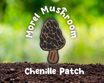 Morel Mushroom patch