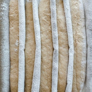 Op de afbeelding: Vijf lange broden liggen in een rij, bedekt met een witte doek die met bloem is bestoven. De broden zijn licht afgerond en hebben een lichtbruine kleur.