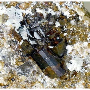 Vesuvianite - Miniature 1.5 × 5 × 6.7 cm - Mineral Specimen - U.S. Seller
