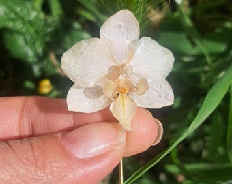 Echte Orchidee Brosche, Handgemachte Trockenblumen Schmuck, Hochzeit Boutonniere