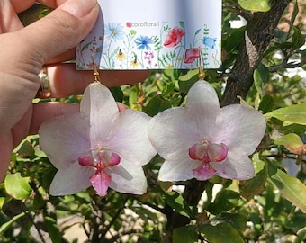 Brincos de orquídea verdadeira, banhados a ouro 18K, joias botânicas em resina.