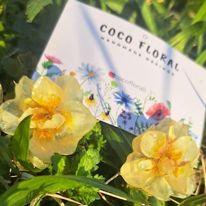 Echte Narzisse Ohrringe | Echte Blumen Ohrringe |3D Blumen Schmuck |Resin Ohrringe |Botanische Geschenk für Sie | Natur inspirierte Ohrringe