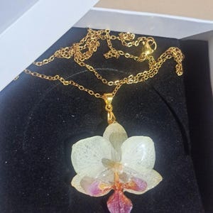 May include: A gold chain necklace with a pendant featuring a preserved white orchid with pink accents. The flower is encased in clear resin.