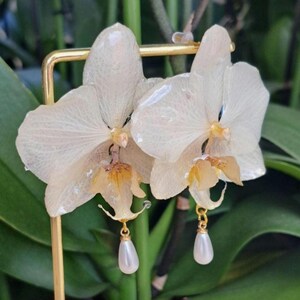 Real Orchid Earrings, Bridal Jewelry, Pearl Dangle Earrings image 8