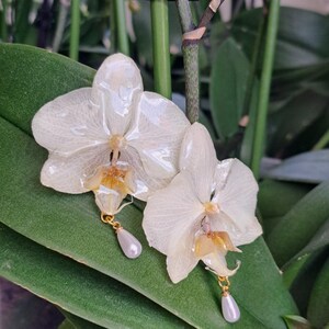 Real Orchid Earrings, Bridal Jewelry, Pearl Dangle Earrings image 7