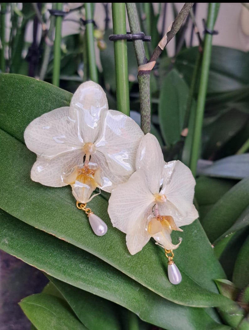 Real Orchid Earrings, Bridal Jewelry, Pearl Dangle Earrings image 7