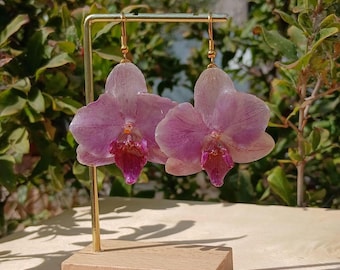 Real Pink Orchid Earrings: 18k Gold-Plated Botanical Jewelry