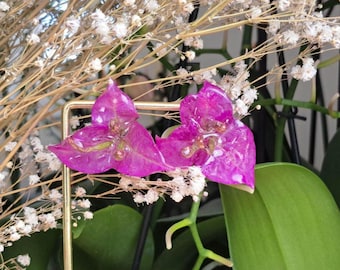 Flower earrings, Real Bougainvillea Earrings, Pink Jewelry