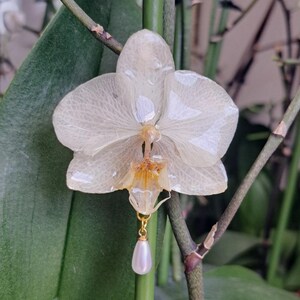 May include: A delicate, translucent orchid flower with a gold-colored pendant featuring a pear-shaped pearl. The flower is set against a backdrop of green leaves and stems, creating a natural and elegant aesthetic.