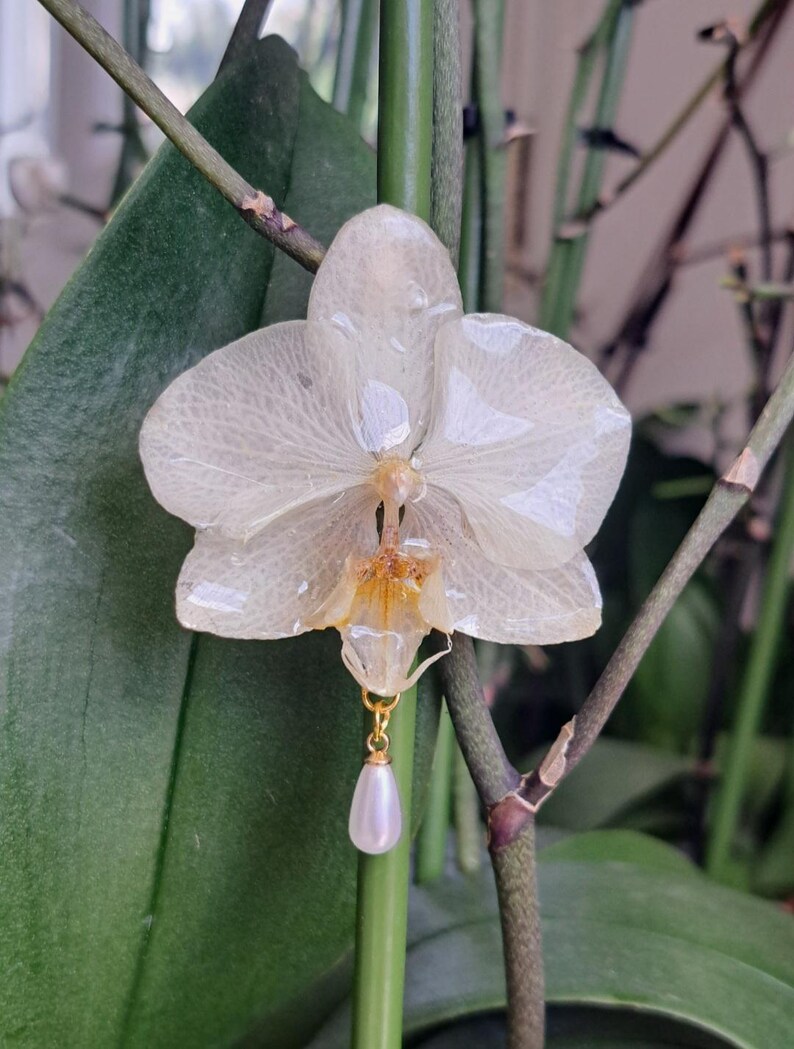 May include: A delicate, translucent orchid flower with a gold-colored pendant featuring a pear-shaped pearl. The flower is set against a backdrop of green leaves and stems, creating a natural and elegant aesthetic.