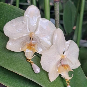 Real Orchid Earrings, Bridal Jewelry, Pearl Dangle Earrings image 2
