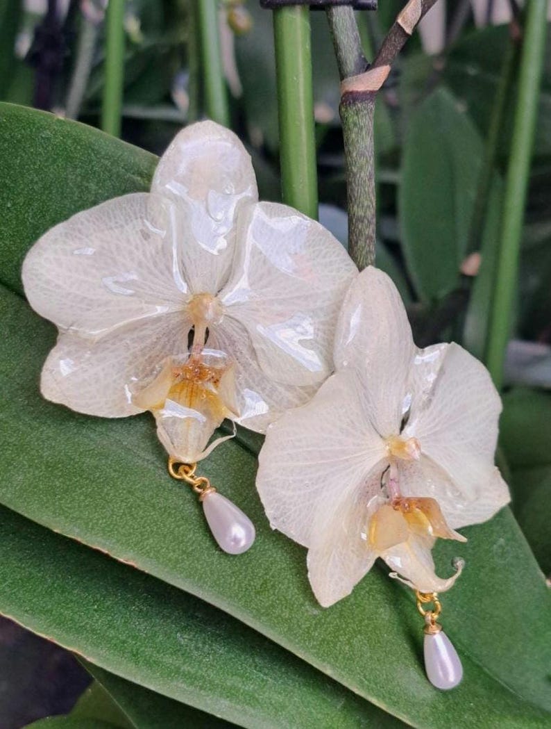 Real Orchid Earrings, Bridal Jewelry, Pearl Dangle Earrings image 2