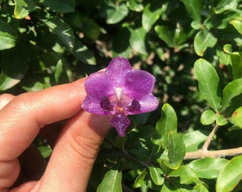 Handmade Mini Orchid Resin Ring: 18k Gold-Plated Botanical Jewelry