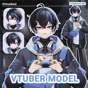 Modelo masculino prediseñado / Listo para usar / Vtube Studio / Modelo Live2d / Diseño Vtuber