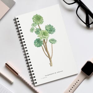 May include: A spiral-bound notebook featuring a botanical illustration of a green succulent plant. The notebook has the text "Sempervivum arboreum". A pen, watch, and glasses are also visible.