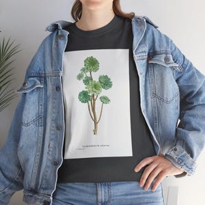 Sempervivum Arboreum (Tree Houseleek) from Histoire des Plantes Grasses (1799) by Pierre-Joseph Redoute, shirt, apparel, art lover present