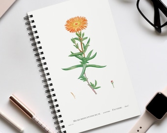 Golden Fig-Marigold Journal, Botanical Art Stationary