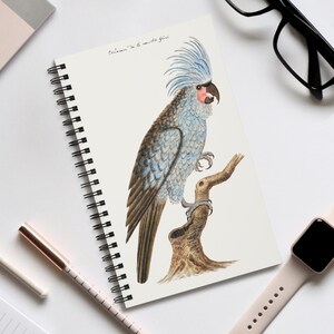 May include: A spiral-bound notebook with a detailed watercolour illustration of a blue and grey cockatoo perched on a branch. The bird has a distinctive crest. The notebook is on a white surface.