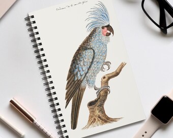 Palm Cockatoo Art Journal, Robert Jacob Gordon Print