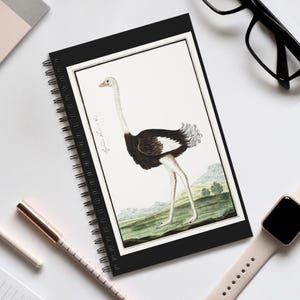 May include: Black spiral-bound notebook with an illustration of an ostrich. The artwork depicts the bird in a naturalistic setting, with a white neck, black and white body, and long legs. The notebook has a black cover and a white border around the illustration.