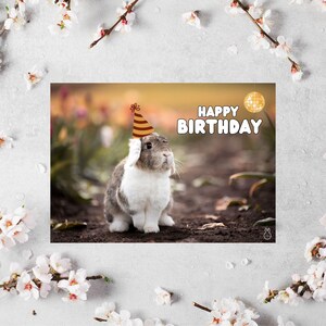 Happy Birthday Photo greeting card bunny rabbit birthday card gift card birthday bunny