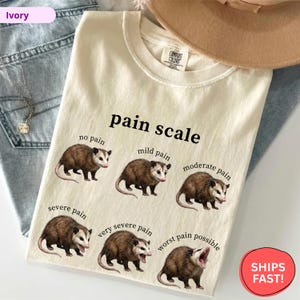 May include: Ivory-colored t-shirt with a humorous "pain scale" graphic featuring opossums. The scale ranges from "no pain" to "worst pain possible." The shirt also has the "Comfort Colors" brand tag.