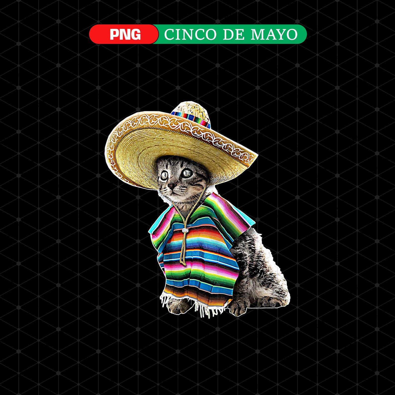 Cinco De Mayo Cat PNG Fiesta Digital Download Clipart Cat Cinco De